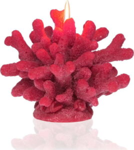 Dekorativní svíčka ve tvaru korálu Versa Coral VERSA