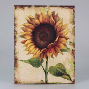 Obraz na plátně Dakls Sunflower Dakls