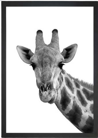 Obraz Tablo Center Giraffe Portrait