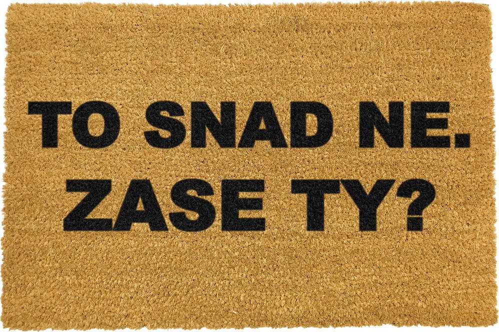 Rohožka z přírodního kokosového vlákna Artsy Doormats Zase ty?