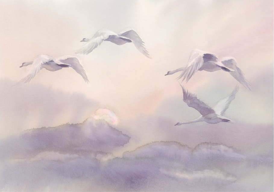 Velkoformátová tapeta Artgeist Flying Swans