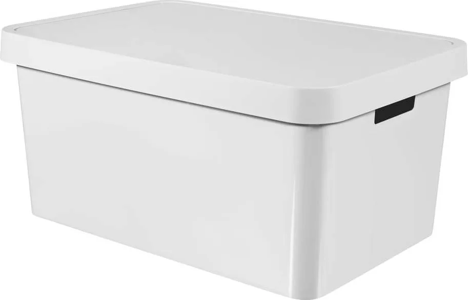 Úložný box s víkem Curver Infinity, 45 l