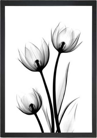 Obraz Tablo Center Scented Flowery
