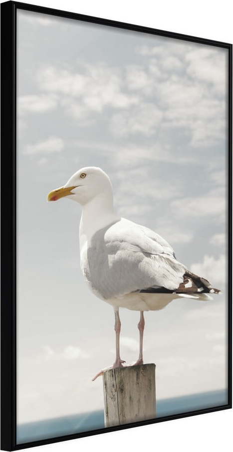 Plakát v rámu Artgeist Curious Seagull