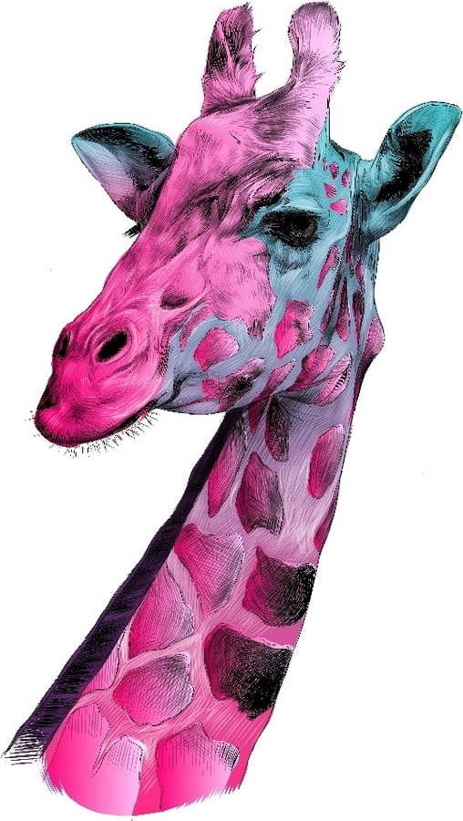 Skleněný obraz 3D Art Graphico Giraffe