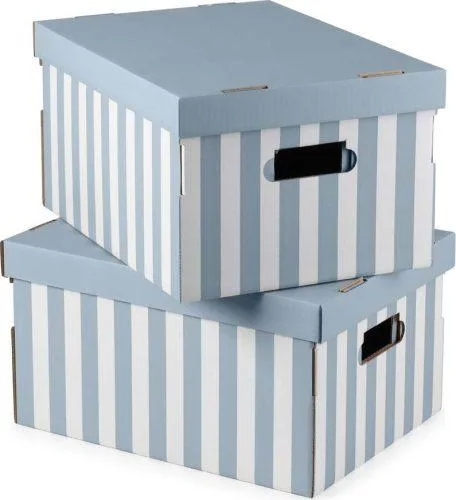 Kartonové úložné boxy s víkem v sadě 2 ks Stripes – Compactor
