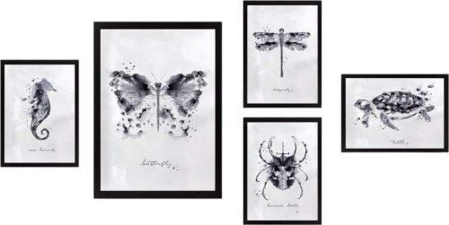 Obrazy v sadě 5 ks Butterfly – Wallity Wallity