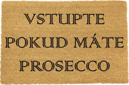 Rohožka z přírodního kokosového vlákna Artsy Doormats Prosecco