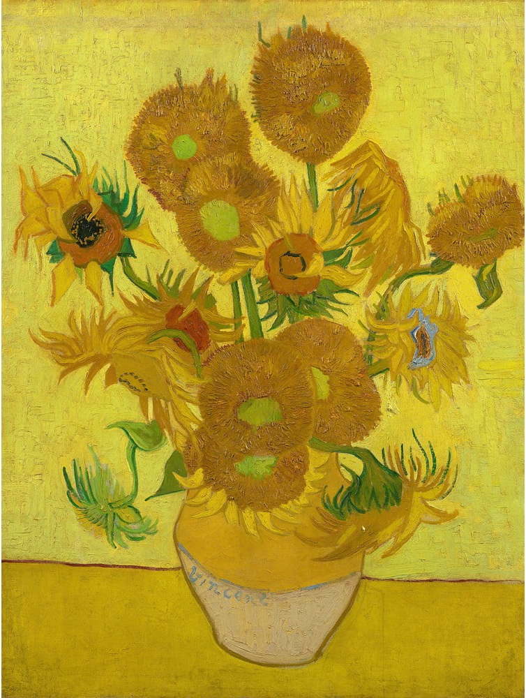 Obraz - reprodukce 50x70 cm Sunflowers