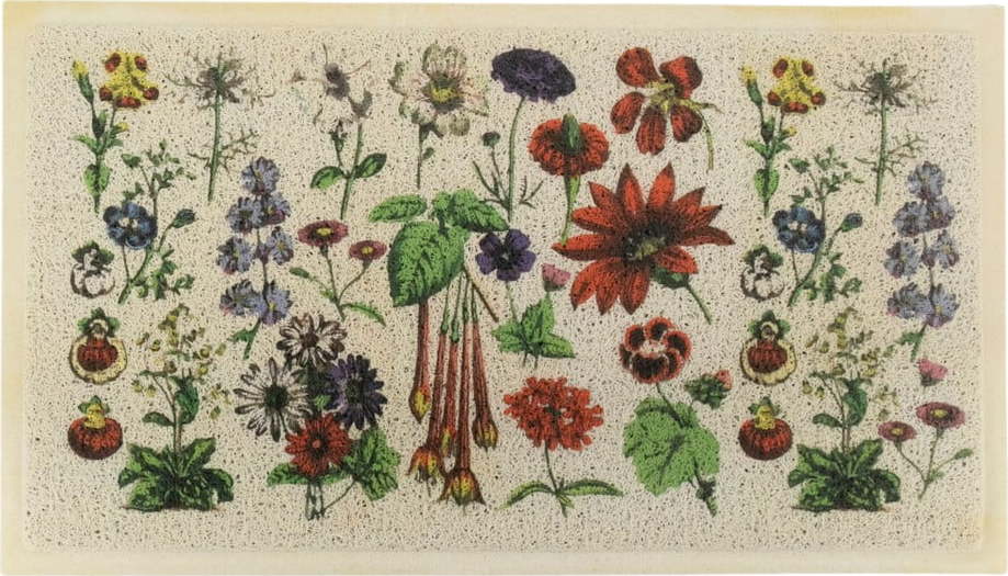 Rohožka 40x70 cm Botanicals – Artsy Doormats Artsy Doormats