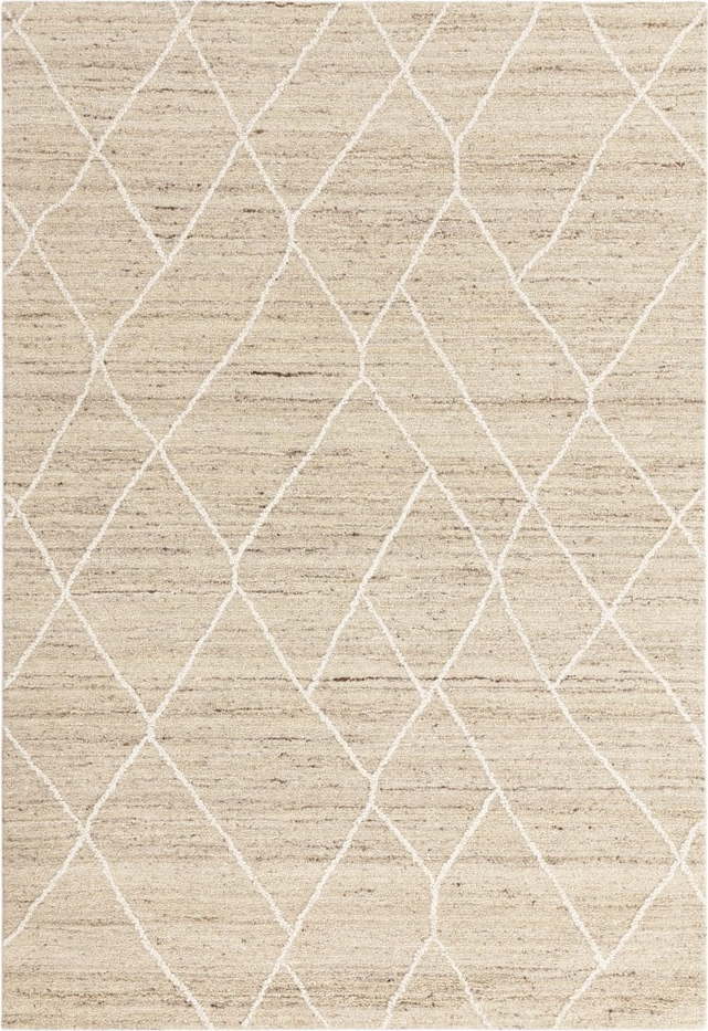 Vlněný koberec v přírodní barvě 120x170 cm Noah – Asiatic Carpets Asiatic Carpets