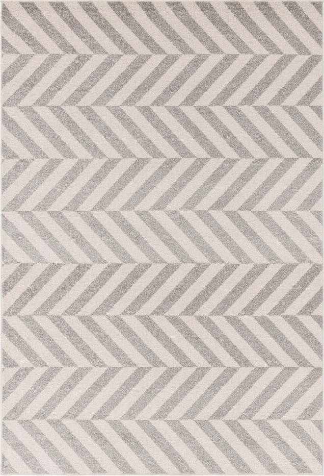 Světle šedý koberec 80x150 cm Muse – Asiatic Carpets Asiatic Carpets