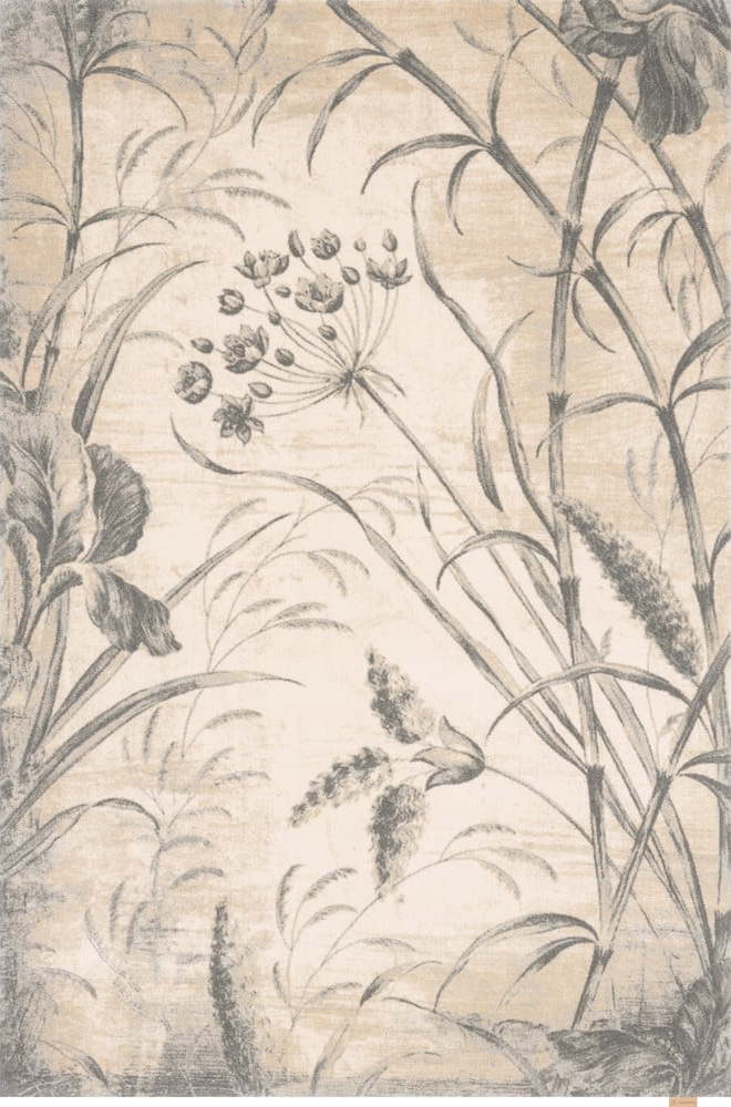 Krémový vlněný koberec 300x400 cm Botany – Agnella Agnella
