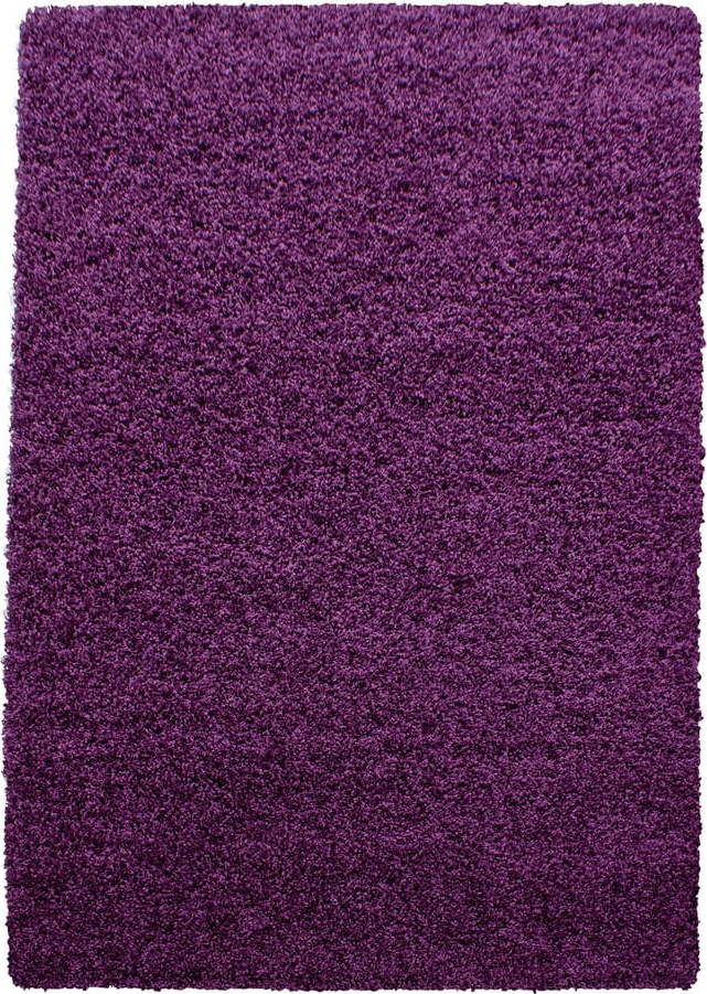 Tmavě fialový koberec 120x170 cm Life – Ayyildiz Carpets Ayyildiz Carpets