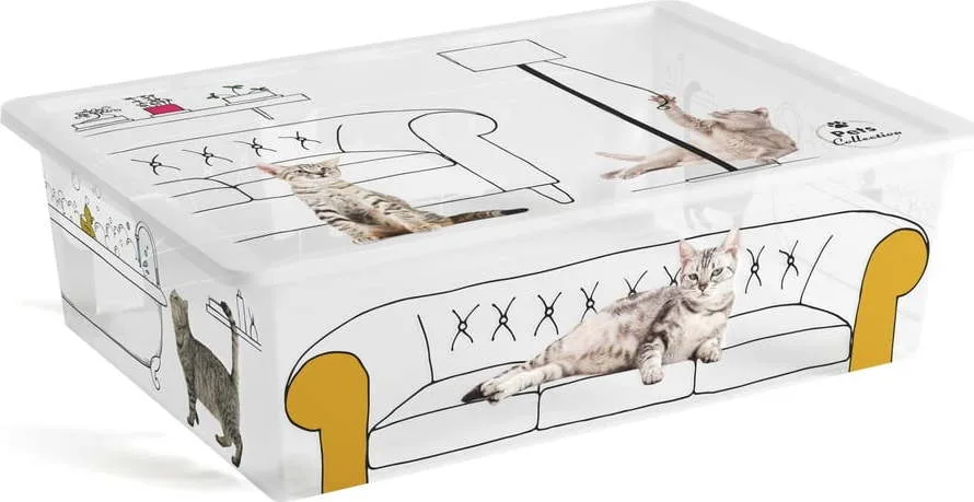 Plastový úložný box s víkem C Box Style – KIS