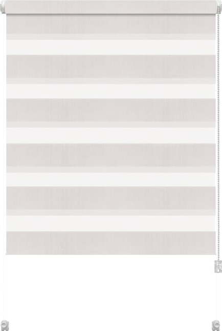 Bílá roleta den a noc 68x215 cm Zebra – Gardinia Gardinia