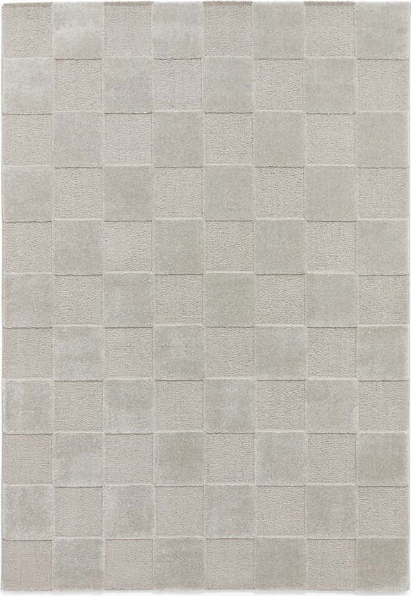 Světle šedý koberec 160x230 cm Elio Silver – Think Rugs Think Rugs