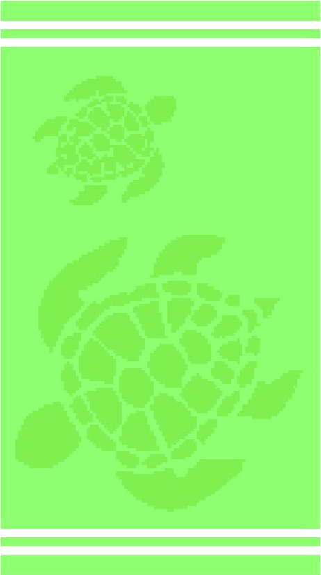 Zelená bavlněná plážová osuška 70x140 cm Turtle – B.E.S. B.E.S.