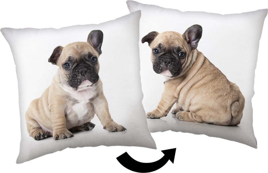 Dětský polštářek 40x40 cm Bulldog – Jerry Fabrics Jerry Fabrics