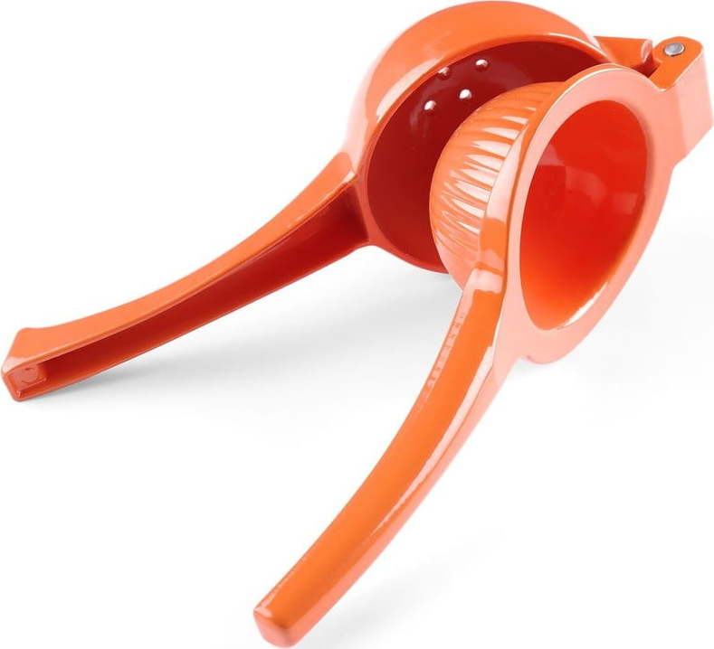 Lis na citrusy – Hendi Hendi