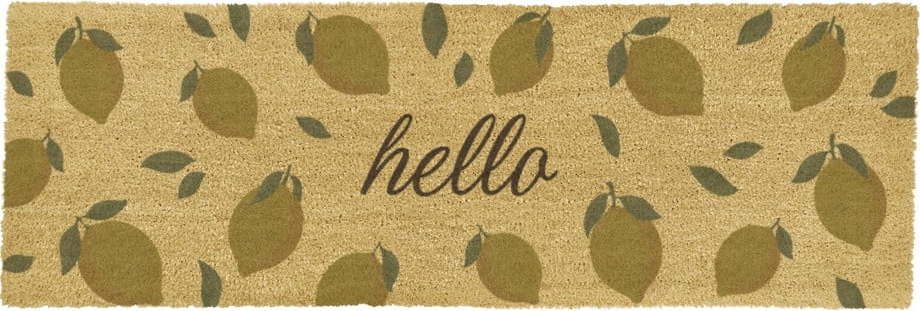 Rohožka z kokosového vlákna 40x120 cm Hello Lemons – Artsy Doormats Artsy Doormats
