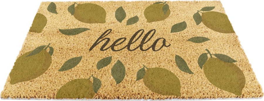Rohožka z kokosového vlákna 40x60 cm Hello Lemons – Artsy Doormats Artsy Doormats