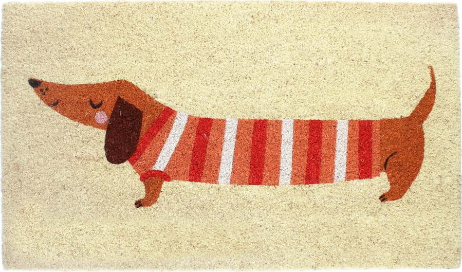 Rohožka z kokosového vlákna 43x73 cm Sausage Dog – Rex London Rex London