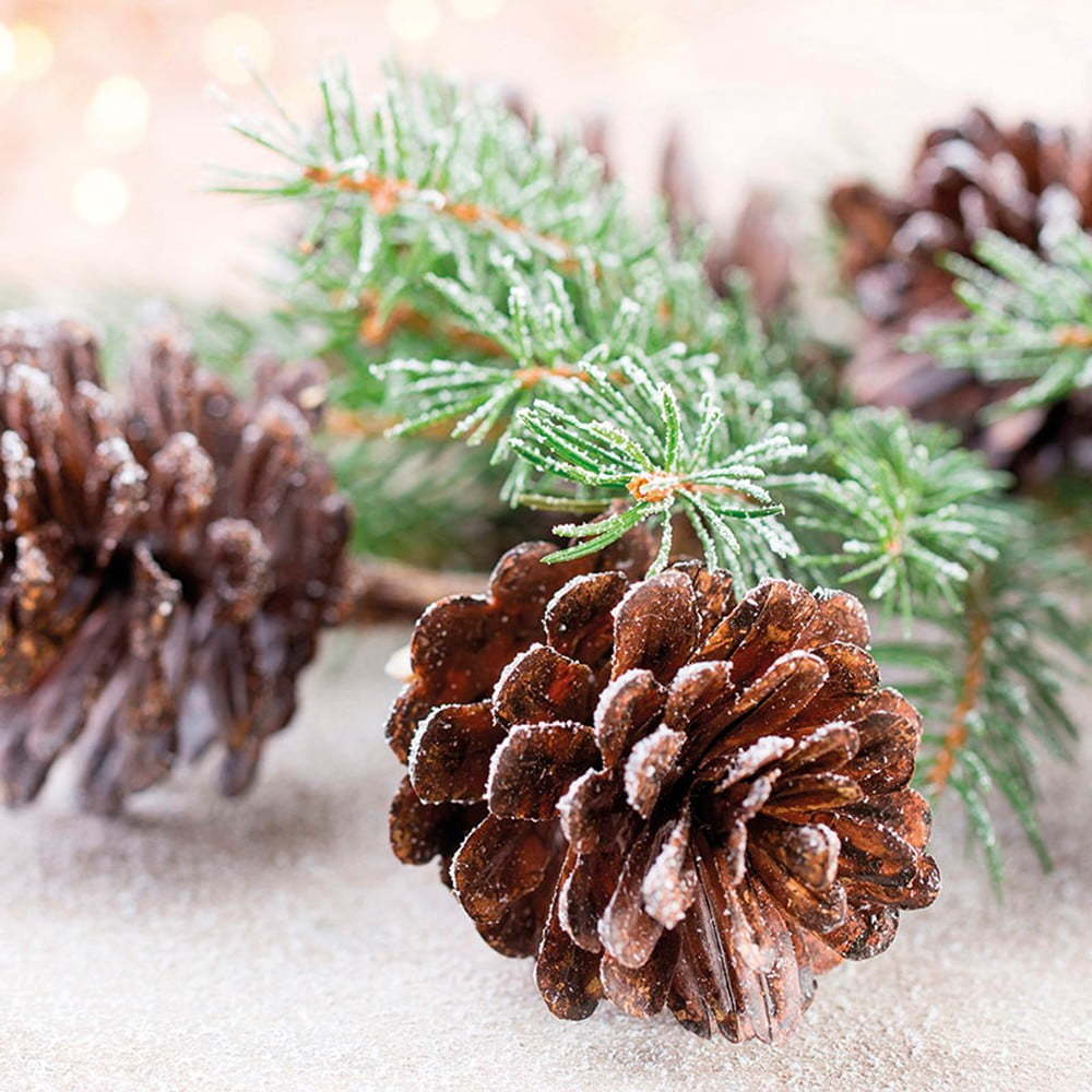 Ubrousky v sadě 20 ks 33x33 cm Noel – Homéa Homea