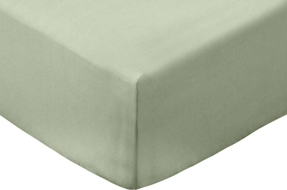Zelené napínací prostěradlo z bavlněného perkálu 135x190 cm Cotton Percale – Bianca Bianca