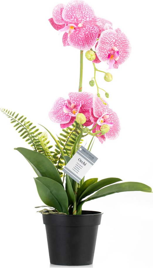 Umělá květina (výška 55 cm) Orchid – AmeliaHome Restilo