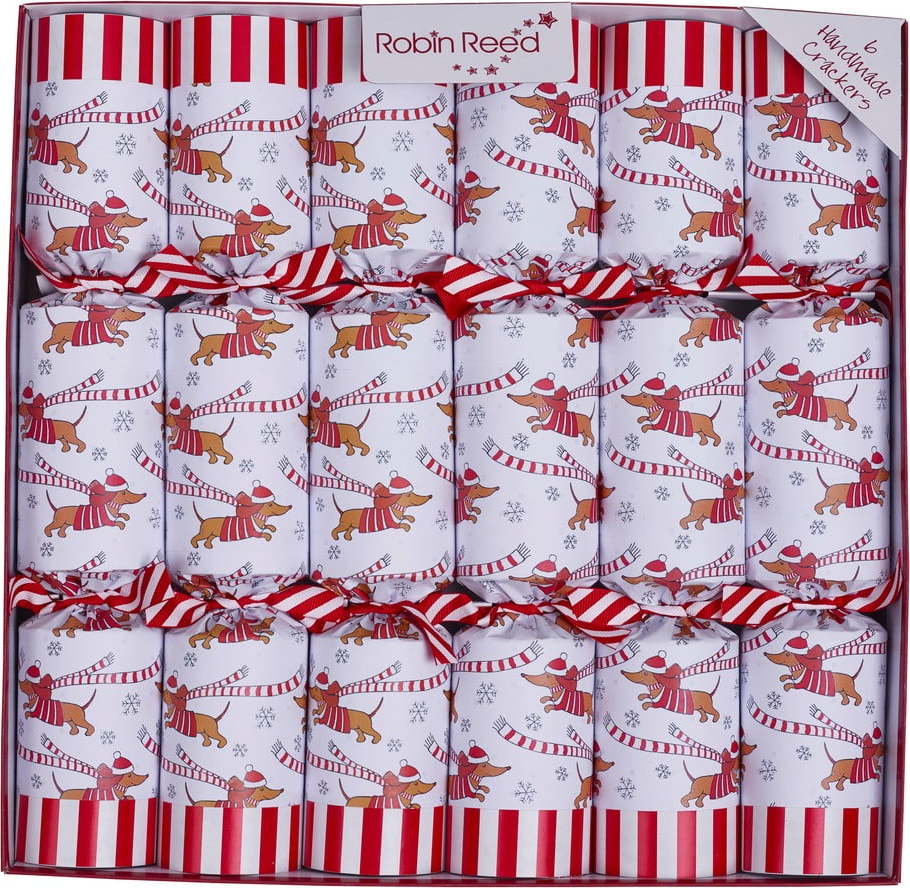 Vánoční crackery v sadě 6 ks Racing Sausage Dog – Robin Reed Robin Reed