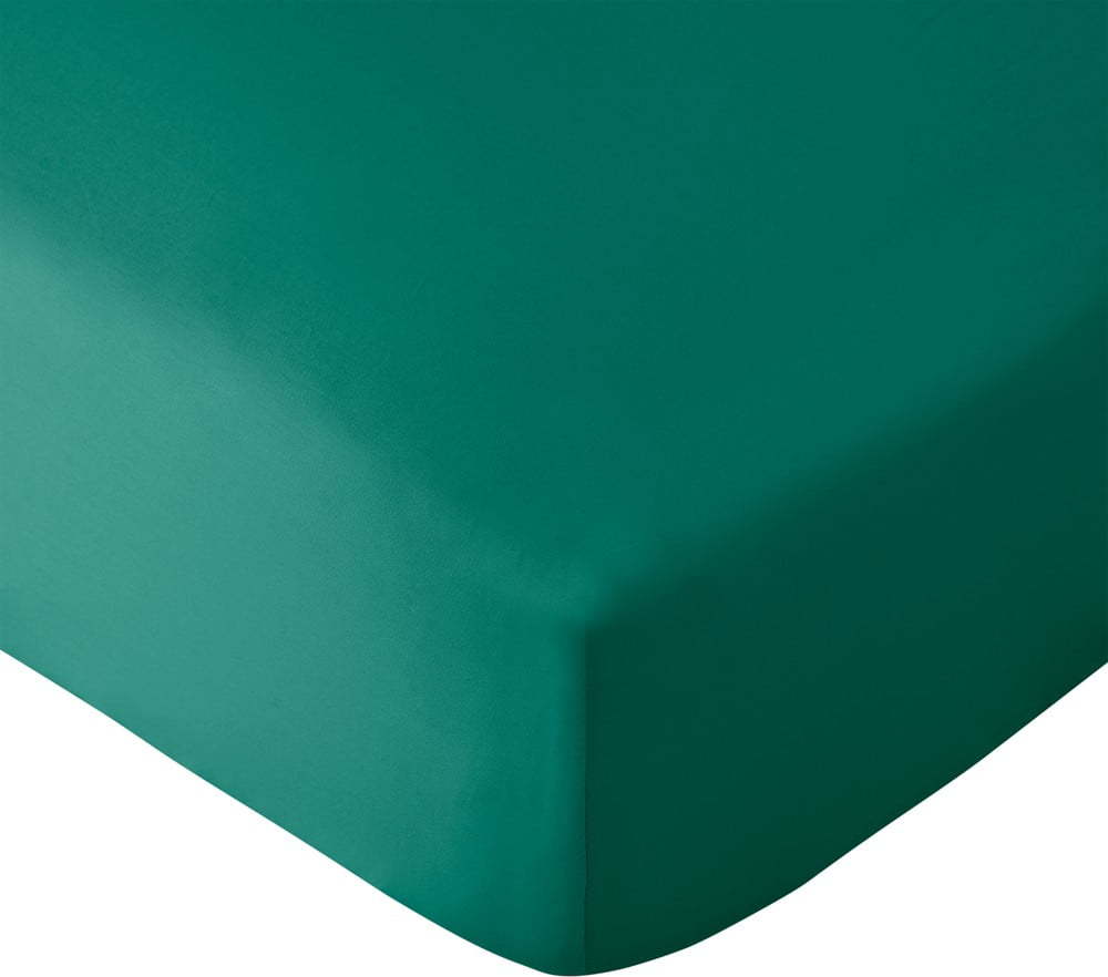 Zelenomodré napínací prostěradlo 135x190 cm So Soft Non-Iron – Catherine Lansfield Catherine Lansfield