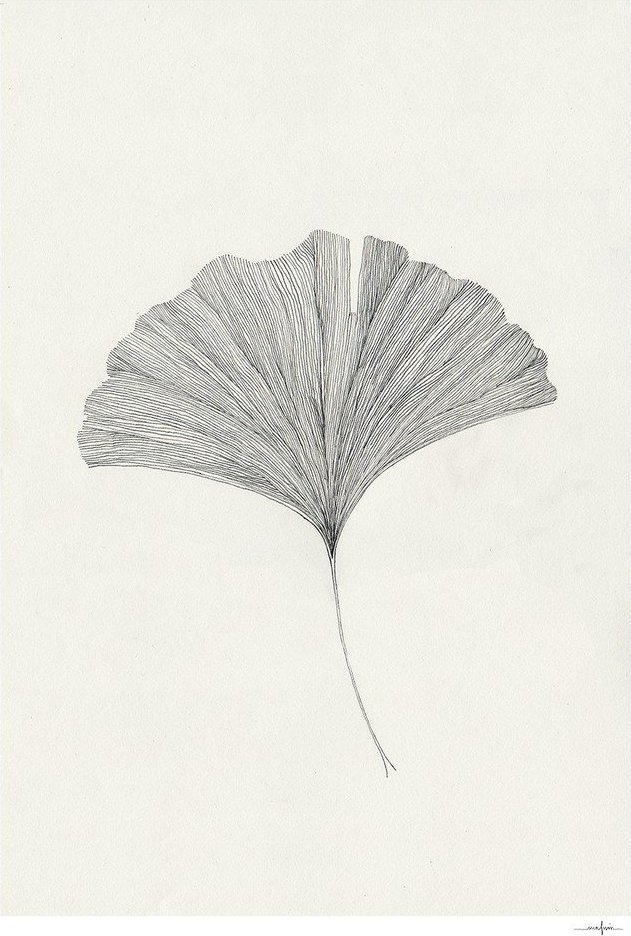 Plakát 50x70 cm Ginkgo Leaf – Ana Frois – The Poster Club The Poster Club