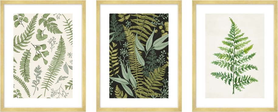 Obrazy v sadě 3 ks 30x40 cm Fern – knor knor