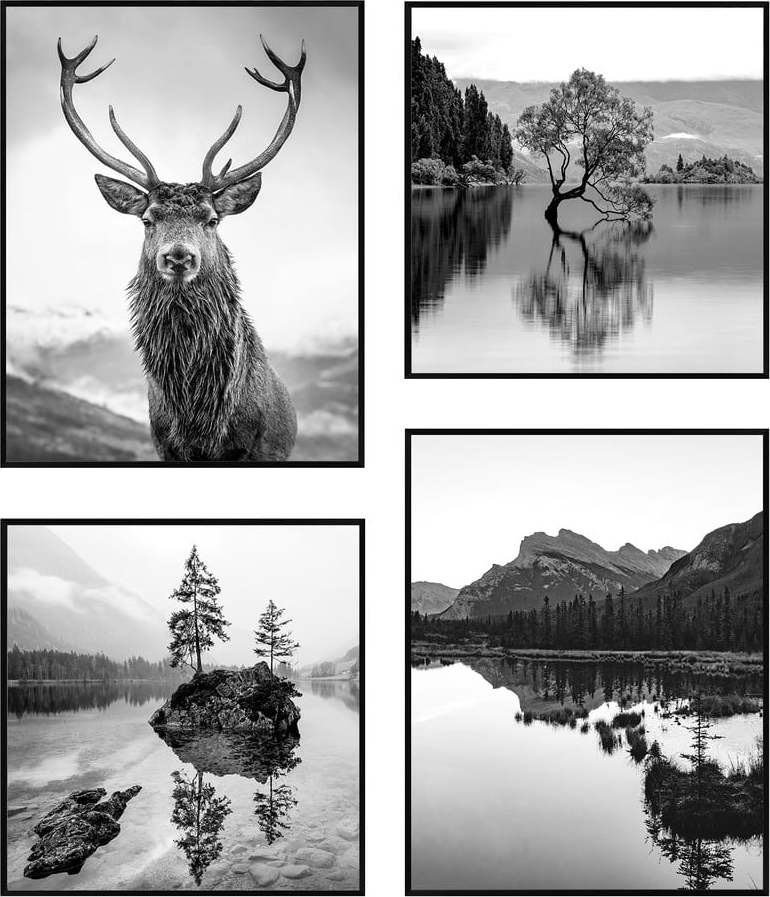 Obrazy v sadě 4 ks 30x40 cm Wild knor