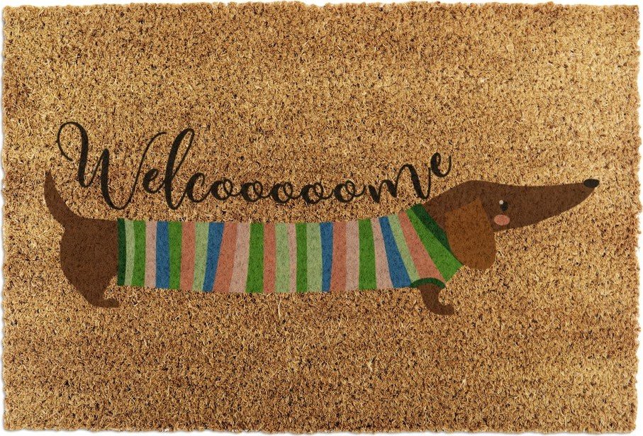 Rohožka z kokosového vlákna 40x60 cm Welcome Sausage Dog – Artsy Doormats Artsy Doormats