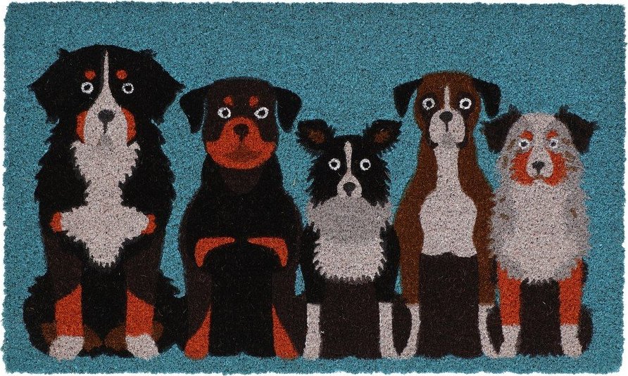 Rohožka z kokosového vlákna 45x75 cm – Esschert Design Esschert Design