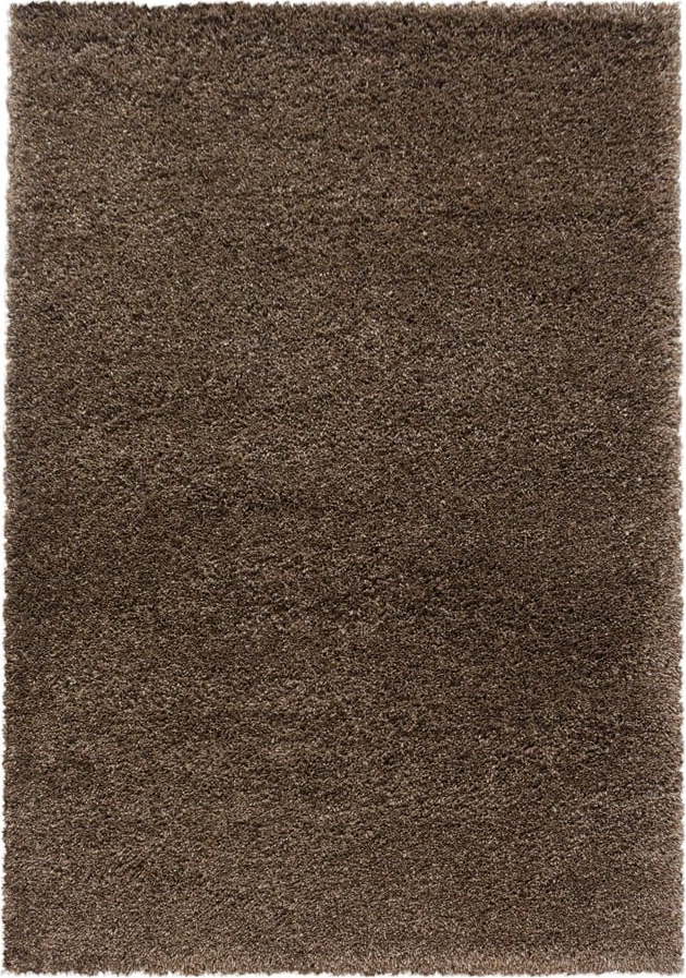 Tmavě hnědý koberec 160x230 cm Fluffy – Ayyildiz Carpets Ayyildiz Carpets
