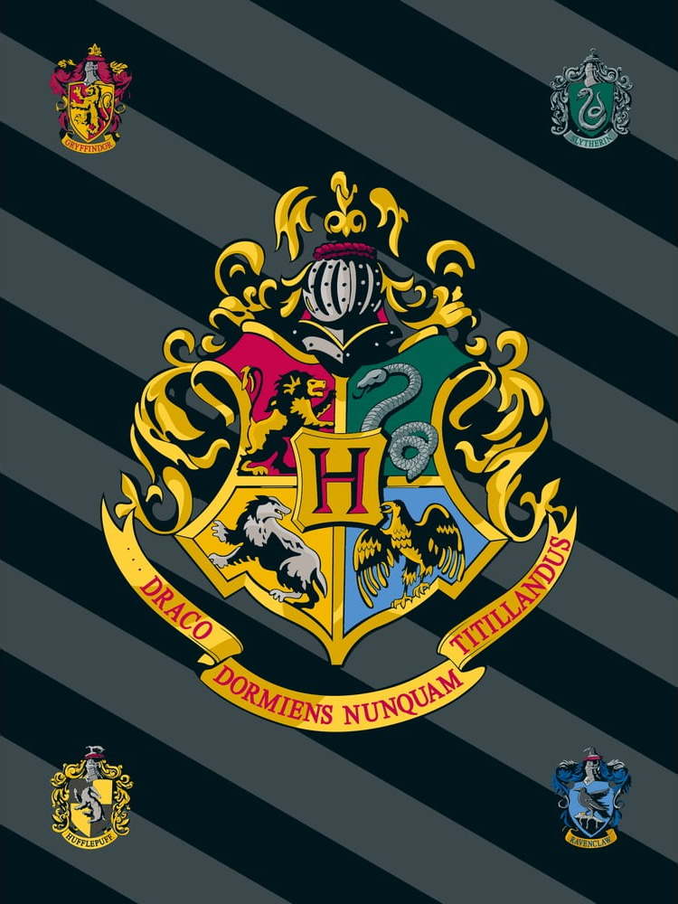 Fleecová dětská deka 100x150 cm Harry Potter – Jerry Fabrics Jerry Fabrics