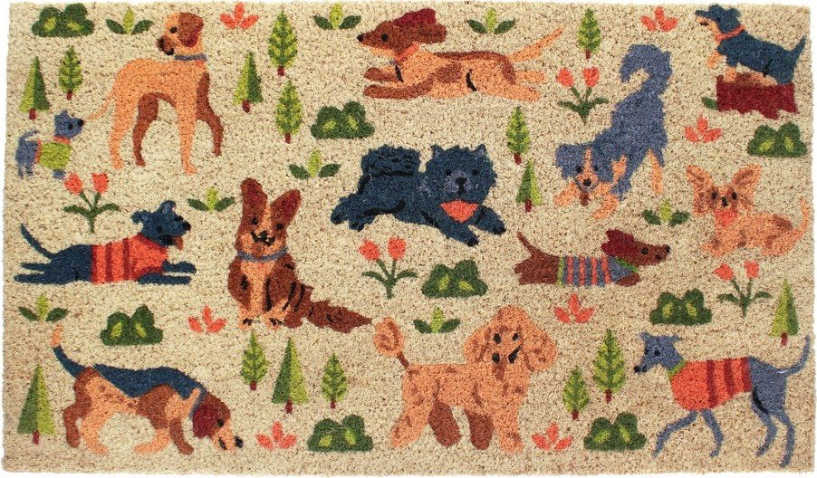 Rohožka z kokosového vlákna 73x43 cm Dog Park – Rex London Rex London