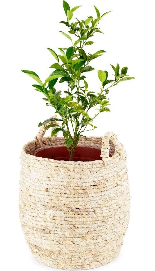 Úložný košík Compactor Lhassa, ø 30 cm